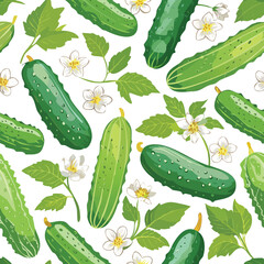 Cucumber Vector Illustration with Seamless Pattern Design
