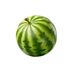 Whole Small Watermelon on white background