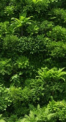 Green foliage various plants close up view