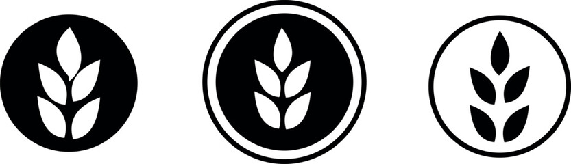 Wheat icon set. Collection of black wheat ear silhouettes, ideal for agriculture logos, organic product labels, and rural themed designs. Vector illustration. EPS 10 