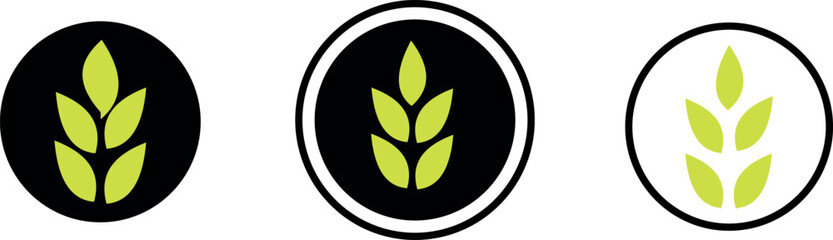 Wheat icon set. Collection of black wheat ear silhouettes, ideal for agriculture logos, organic product labels, and rural themed designs. Vector illustration. EPS 10 