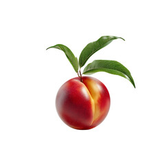 Single Nectarine with Leaves on white background