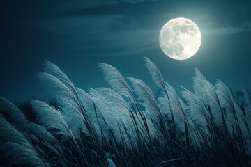 Full moon over silver pampas grass field at night