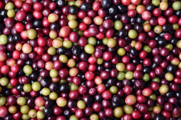 fresh coffee background