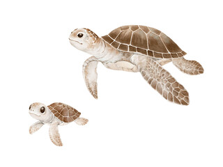 Turtle mom and baby turtle, watercolor illustration two cute sea animals for your design. Beautiful isolated cartoon family for poster, cards, wallpapers or decoration element. Hand-drawn print.