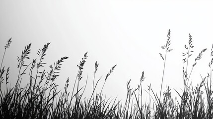 Black and White Stippled Grass Illustration