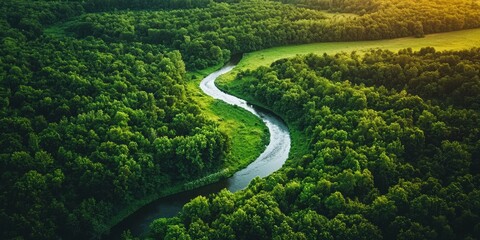 Beautiful aerial view of a lush green forest with winding rivers