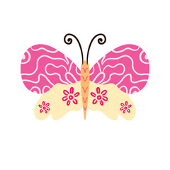 butterfly illustration