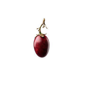 Single Tamarillo Fruit with Stem on white background