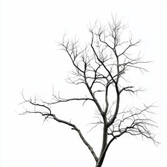 silhouette of a tree