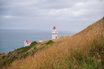 Taiaroa Head, Otago Peninsula, New Zealand