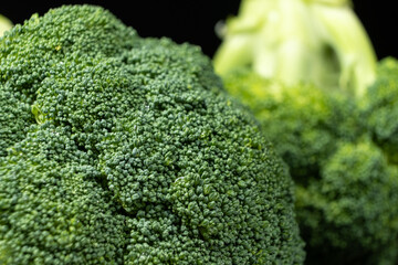Macro Shot of Healthy Organic Broccoli Florets