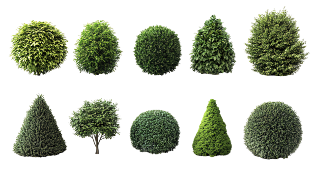 Collection of trimmed trees in various shapes isolated on transparent or white background. Generative ai