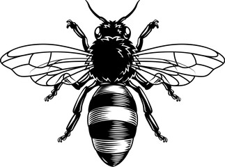 A queen bumble bee or honeybee illustration in a vintage woodcut style.