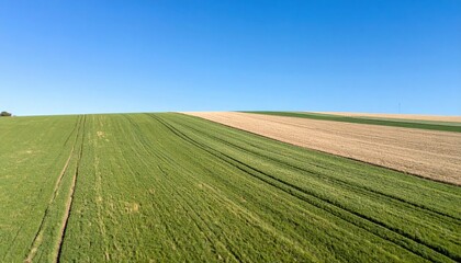 Fototapeta premium Harvesting green fields and brown hills rural landscape aerial view nature vibrant environment