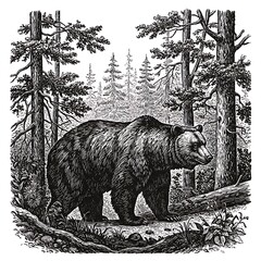 Whispers of the Wildwood