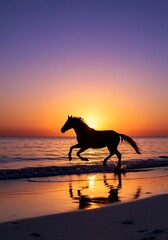 Sunset Silhouette Serenade