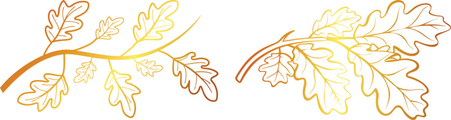 golden  of Autumn Oak Leaves Branch Line Art Vector Design | Hand-Drawn Fall Foliage Illustration