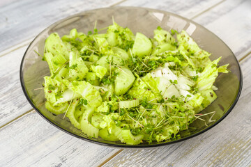 Fresh green microgreen salad on a light blue plate. A natural and organic concept for healthy eating and spring or summer food presentations.