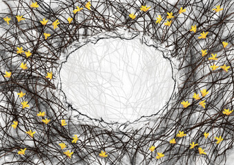 Background with a place for text or lettering. For a postcard, invitation or advertisement. Drawing in gothic dark style. Black bush branches and yellow flowers in early spring