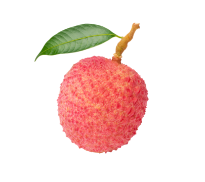 Lychee with leaf isolated on white background
