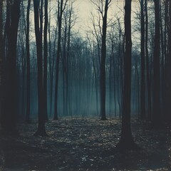 Obraz premium Misty Forest Path Dark Trees and Glimmering Ground