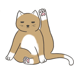 Cute cat pose raising its hind legs, suitable for printing on surfaces.