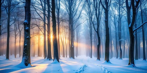Snowy forest at dusk with bare trees and soft light filtering through the foggy air , wintery woods, misty atmosphere