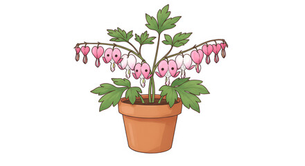 Bleeding Heart Flower in a Pot Illustration