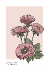 Daisies, anemones, foxgloves - modern botanical card in soft tones. Digital illustration with text for branding, printing.