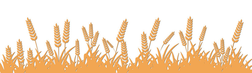 Golden Wheat Field for Shavuot, Jewish Harvest Festival Image