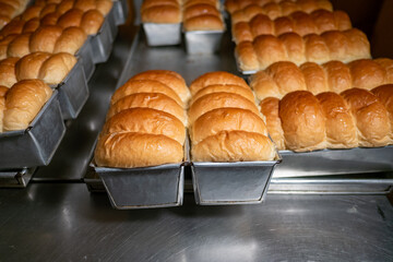 Freshly baked, golden-brown loaves sit neatly in metal trays, radiating warmth and softness, evoking a cozy, inviting bakery atmosphere.