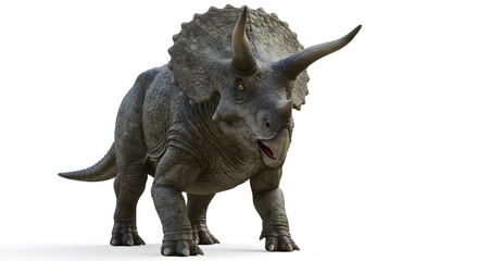 Fototapeta premium Triceratops set against white isolated background