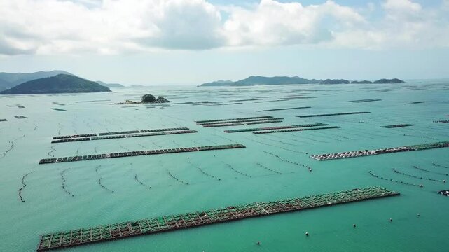 Aerial view of abalone farm in the southern sea of Korea 전복, 바다양식, 완도, 완도전복, 한국