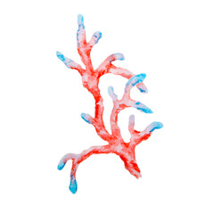 Red and blue coral branch. Watercolor marine illustration with vibrant colors. Perfect for ocean-themed designs, sea life decor, summer vacation projects, diving or aquarium content.