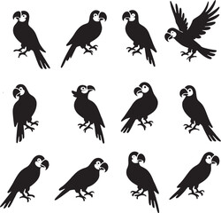 Obraz premium A set of black and white vector parrots in various poses.
