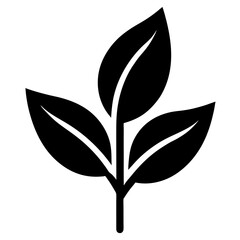 Silhouette Flower collection