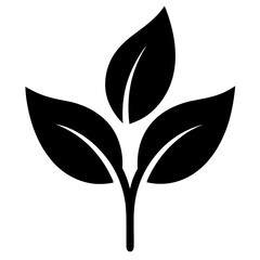 Silhouette Flower collection