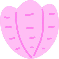 Pink Scallop Illustration