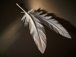 feather on black background