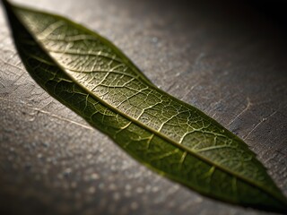 green leaf macro