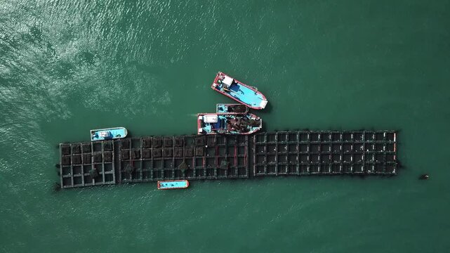Aerial view of abalone farming operations in Wando, South Korea
