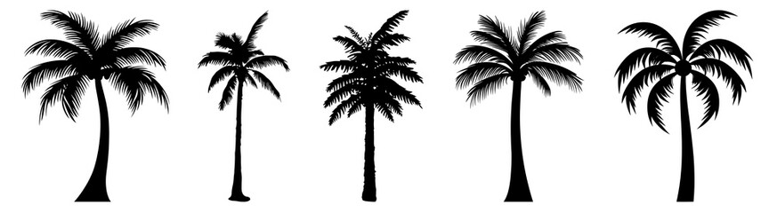 PNG Silhouetted palm trees vector design., elements on transparent background