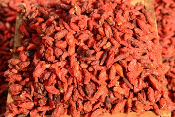  Close-up of Korean goji berry (Lycium chinense) fruit and leaves, a widely used herbal plant in traditional medicine