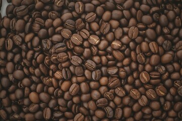Fototapeta premium Close-up of roasted coffee beans, perfect for a coffee shop background.
