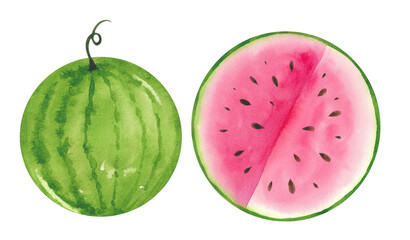 Watercolor illustration set, watermelon, leaves, clip art isolated background. Hand drawn watermelon pieces and slices, wooden skewer for design, postcards, menu, textiles