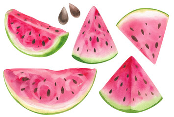 Watercolor illustration set, watermelon, leaves, clip art isolated background. Hand drawn watermelon pieces and slices, wooden skewer for design, postcards, menu, textiles