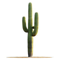 Tall saguaro cactus standing alone in desert landscape under bright blue sky in daytime