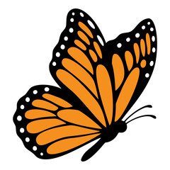 Monarch butterfly. Vector illustration isolated on white background.