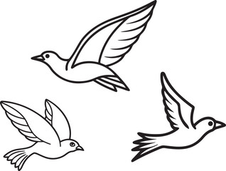 set of flying birds line art, black outline, vector and illustration, coloring book page line art drawing
